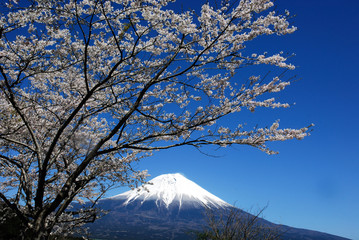 田貫湖からの富士山