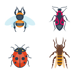 Colorful insects icons isolated wildlife wing detail summer bugs wild vector illustration