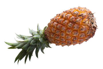 Fresh pineapple isolated on white background. Closeup.