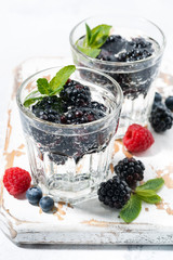 Fototapeta na wymiar carbonated drinks with berries, vertical top view
