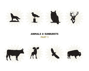 Set of wild animal figures and shapes with sunbursts isolated on white background. Black silhouettes wolf, deer, moose, bison, eagle, seagull, cow, and owl. Use as icons or in logo designs. Vector
