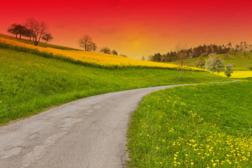 Green and Yellow Pastures