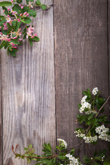 SSpring Flowers hawthorn on background of old vintage blue board