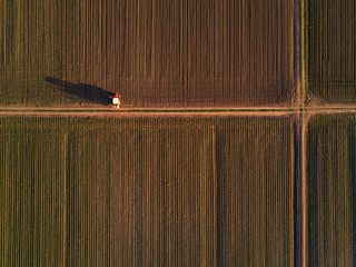 Aerial view of tractor in cultivated corn maize crop field