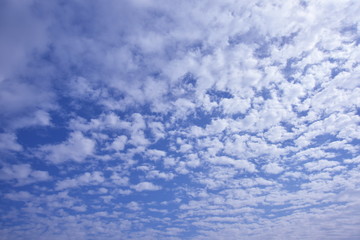 鱗雲の壁紙イメージ