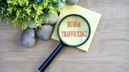 Ornamental trees, stones Small, magnifying glass, sticky note with text human trafficking