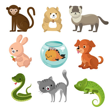 Cartoon cute home pets vector collection