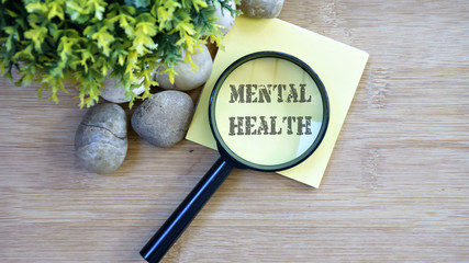 Ornamental trees, stones Small, magnifying glass, sticky note with text mental health