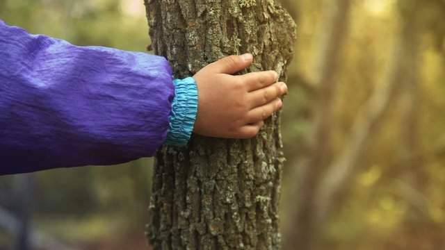 boy's hand rests on a tree trunk