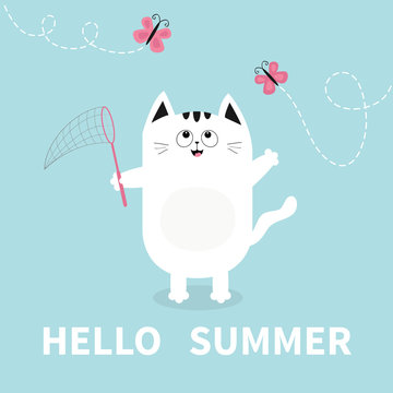 Hello summer. White cat Pink butterfly insect, net. Dash line track.. Cute cartoon character. Greeting card. Funny pet animal collection. Flat design. Blue background.