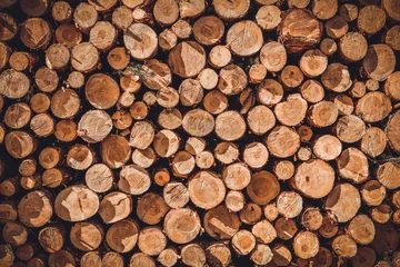 Möbelaufkleber A pile of cut wood stump log texture © agnieszka_marcinska