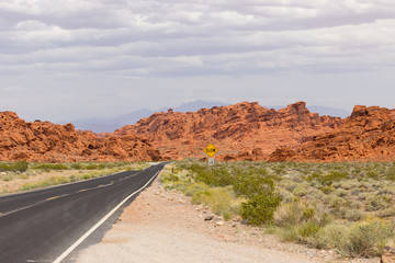 Street in valley of fire state park