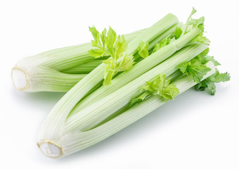 Fresh green leaf stalks of celery.