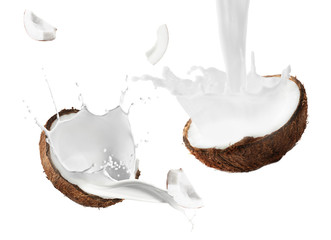 Coconut half on white background