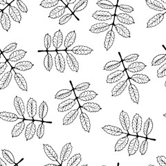 Hand Drawn Nature Pattern