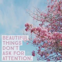 Inspirational motivational quote "beautiful things don't ask for attention" on pink flower with blue sky.