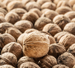 Walnuts. Food background.