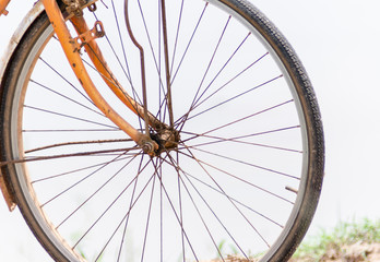 Naklejka premium .Old bike parts that are still rusty, parked in the middle of a beautiful field.