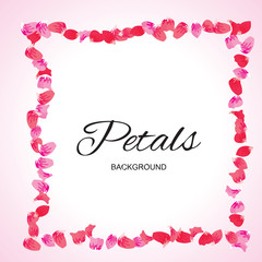 Pink Flying Petals Background