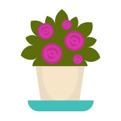 Purple flowers in pot