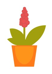 Bright red potted flower
