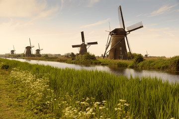 kinderdijk