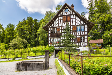 Swiss houses with a garden