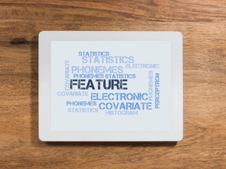 Feature (machine learning)