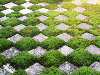 Green grass and rock patterns in the garden for background