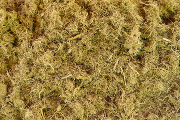 dry grass for background