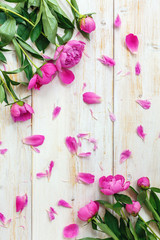 Blooming peonies and pink petals.