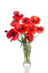 Bouquet of poppies in glass vase isolated on white background