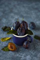 Fresh plums with leaves in metallic cup on a bluish gray background