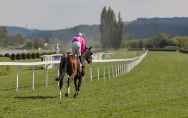 racing horse coming first to finish line