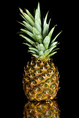 Close-up view of single fresh ripe pineapple isolated on black