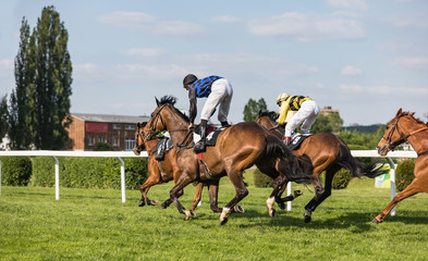 A group of riders on horseback sprints in a bend, a sunny day. Riders on the racing circuit competition.