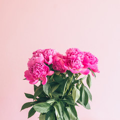 a bouquet of lovely peonies on a pink background.