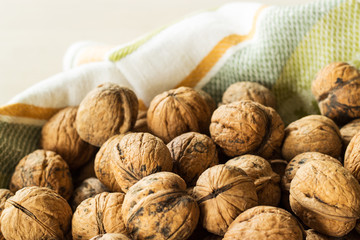 Walnut. Walnut in the shell. Close-up. Selective focus.