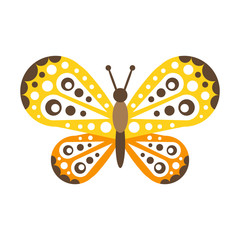 Colorful beautiful butterfly with open wings vector Illustration