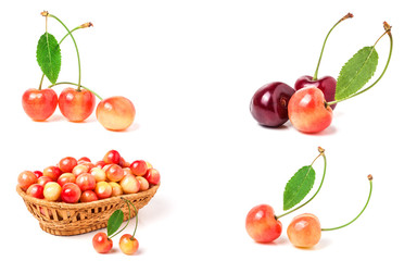 Red and yellow sweet cherry isolated on white background. Collection or set