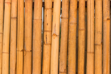 Wall of home made of bamboo in Thailand
