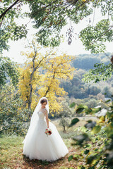 The beautiful bride keeps a luxury bouquet