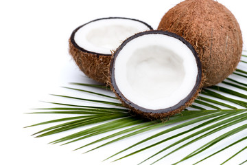 organic ripe coconuts with green palm leaf on coconut leaf  isolated on white