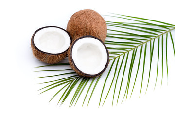 organic ripe coconuts with green palm leaf  on coconut leaf isolated on white