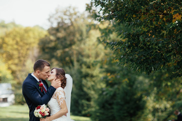 The charming brides kissing   in the park