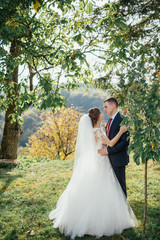 The charming brides embracing in the park