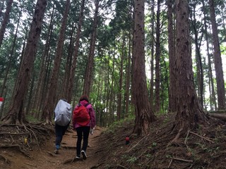 Obraz premium 登山