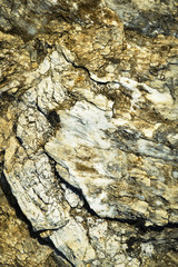 detail limestone and quartz conglomerates
