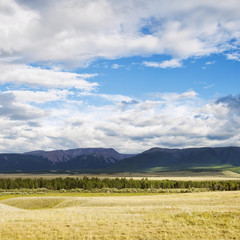 Kurai steppe landscape. Altai, Russia