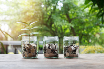 Mix coins and seed in clear bottle, Business investment growth concept